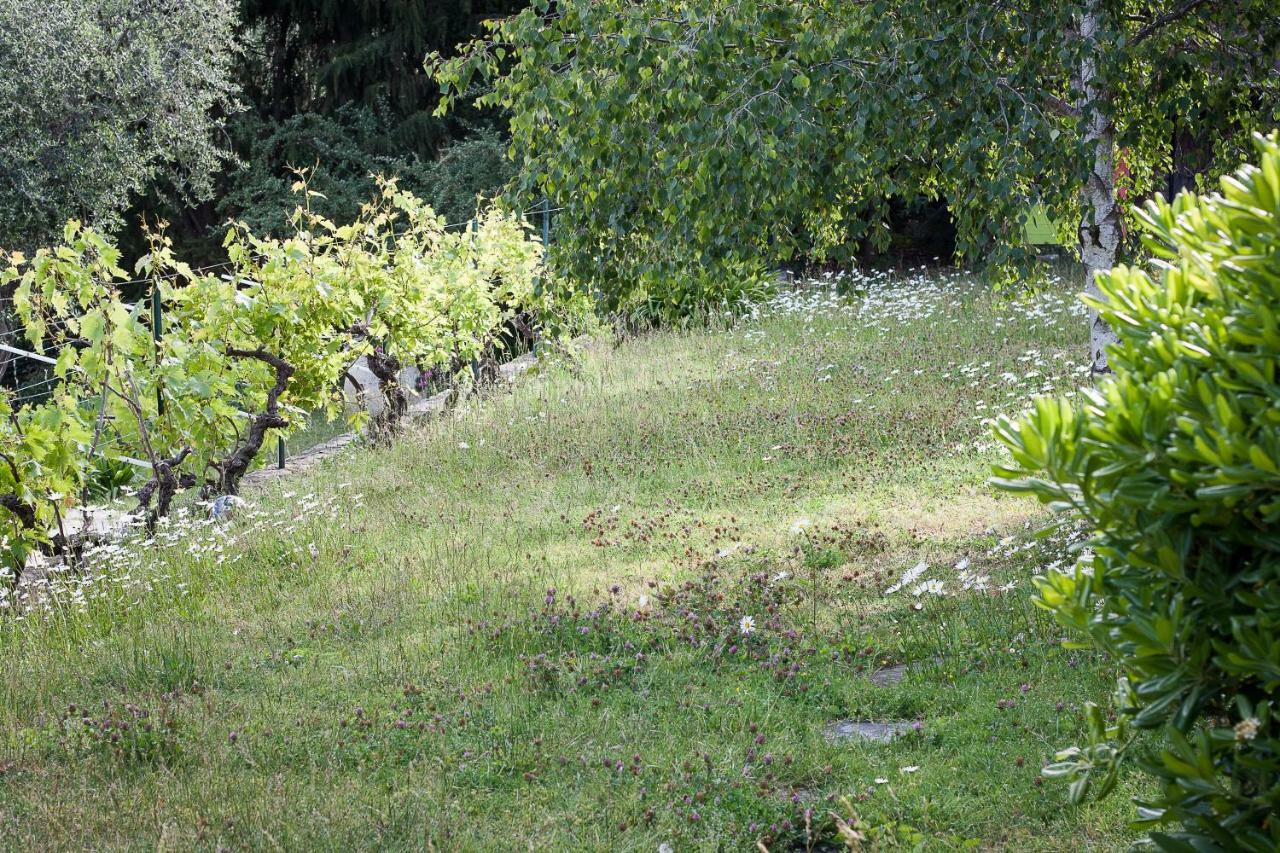 Residence Lou Naouc Grasse Exterior photo